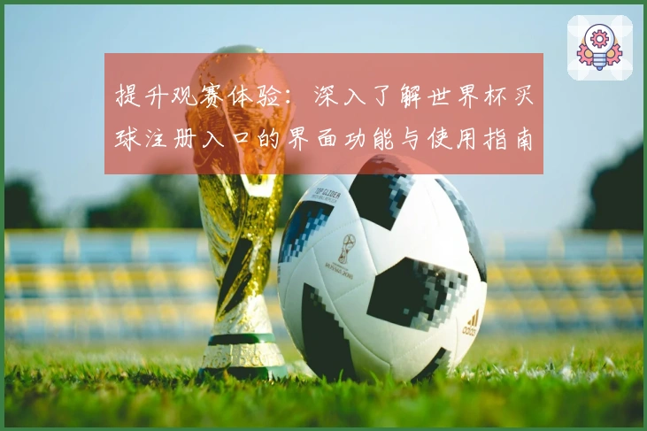提升观赛体验:深入了解世界杯买球注册入口的界面功能与使用指南