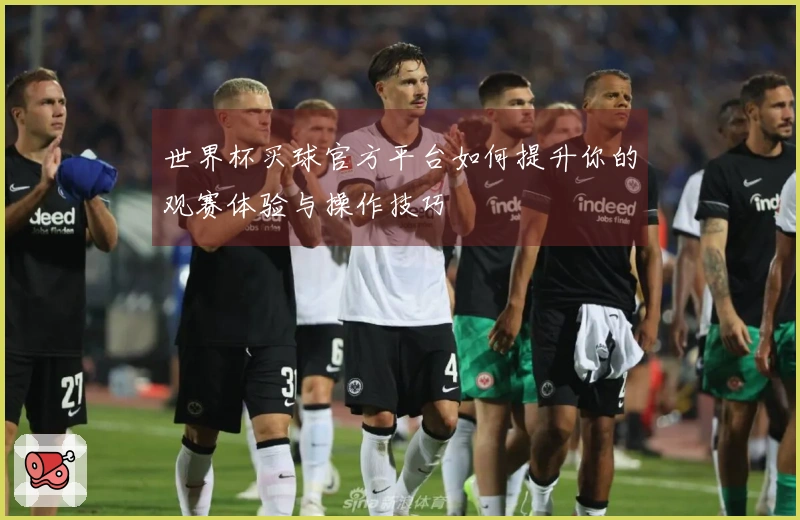 世界杯买球官方平台如何提升你的观赛体验与操作技巧