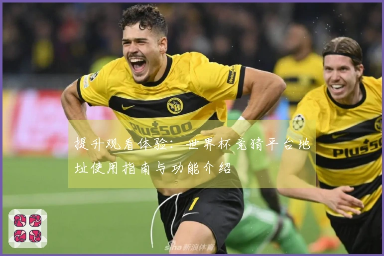 提升观看体验：世界杯竞猜平台地址使用指南与功能介绍