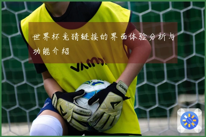 世界杯竞猜链接的界面体验分析与功能介绍