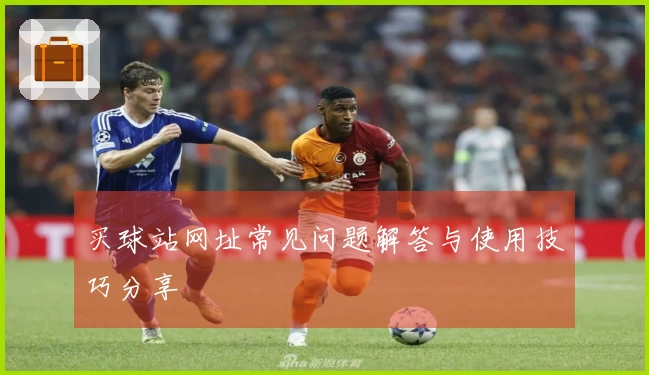 买球站网址常见问题解答与使用技巧分享