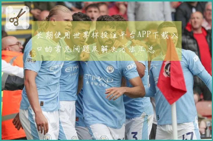 长期使用世界杯投注平台APP下载入口的常见问题及解决方法汇总