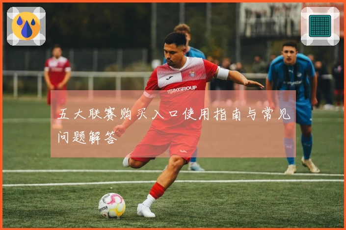 五大联赛购买入口使用指南与常见问题解答