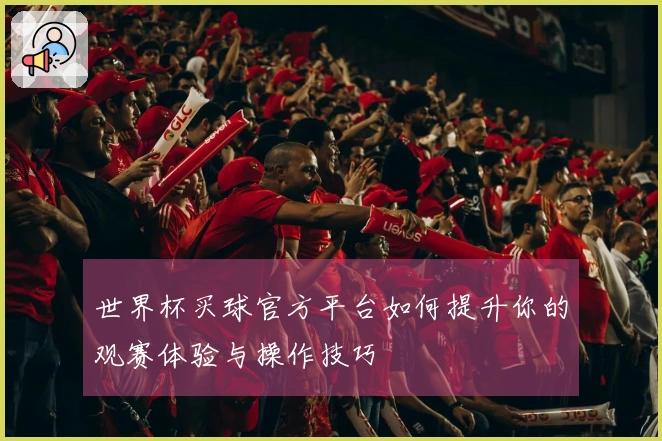 世界杯买球官方平台如何提升你的观赛体验与操作技巧