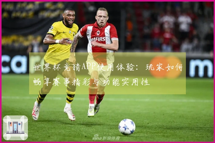 世界杯竞猜APP使用体验：玩家如何畅享赛事精彩与功能实用性