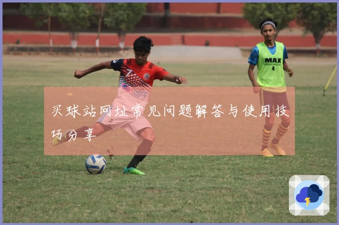 买球站网址常见问题解答与使用技巧分享