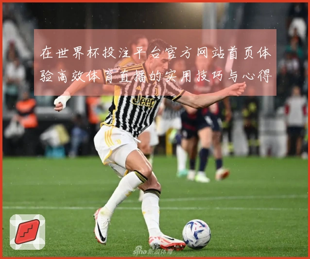 在世界杯投注平台官方网站首页体验高效体育直播的实用技巧与心得分享