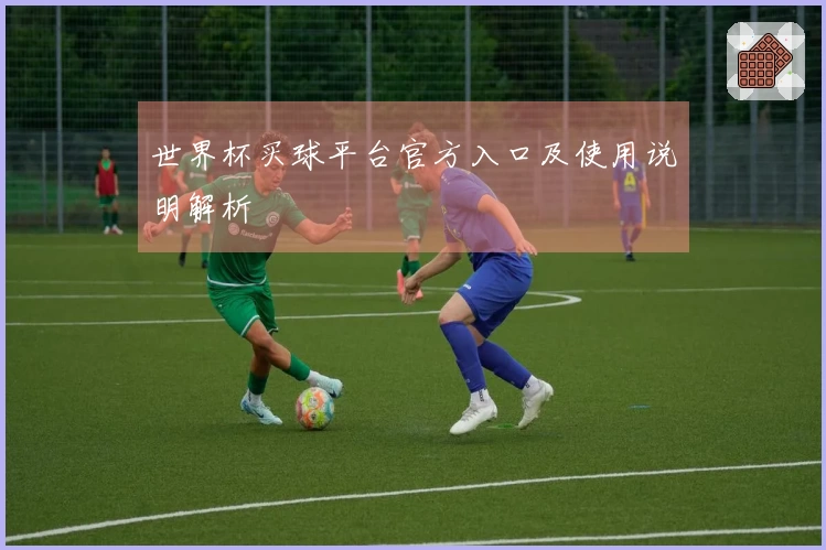 世界杯买球平台官方入口及使用说明解析