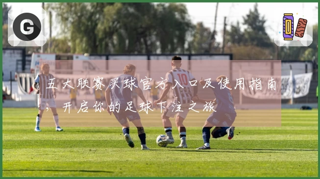 五大联赛买球官方入口及使用指南，开启你的足球下注之旅