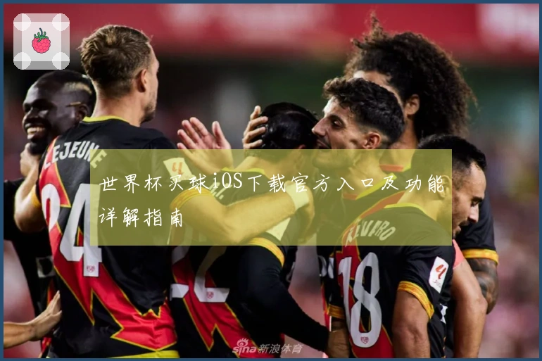 世界杯买球iOS下载官方入口及功能详解指南