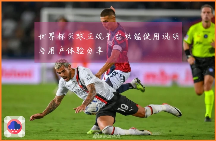 世界杯买球正规平台功能使用说明与用户体验分享
