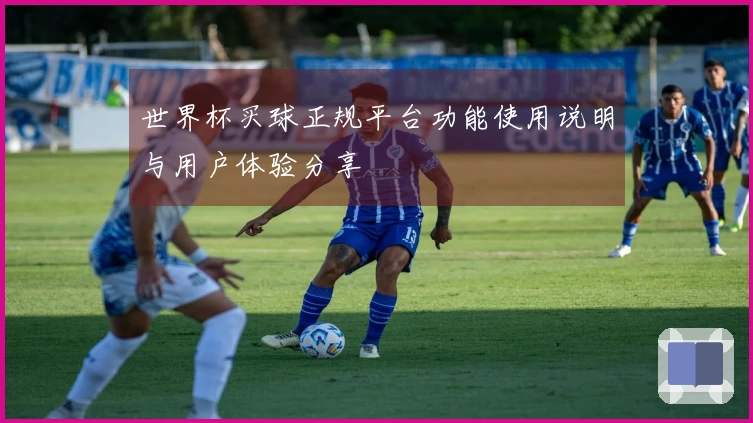世界杯买球正规平台功能使用说明与用户体验分享