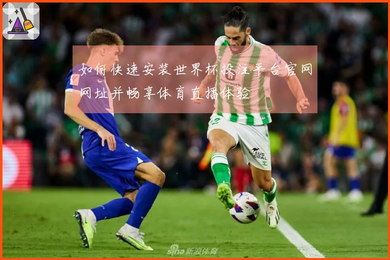 如何快速安装世界杯投注平台官网网址并畅享体育直播体验