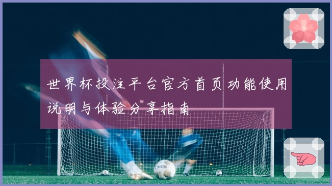 世界杯投注平台官方首页功能使用说明与体验分享指南
