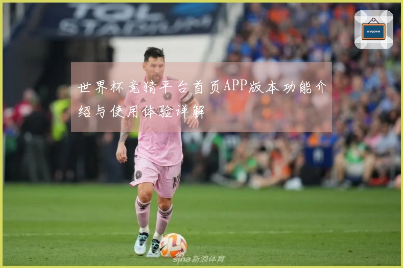 世界杯竞猜平台首页APP版本功能介绍与使用体验详解
