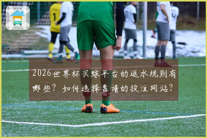 2026世界杯买球平台的返水规则有哪些？如何选择靠谱的投注网站？