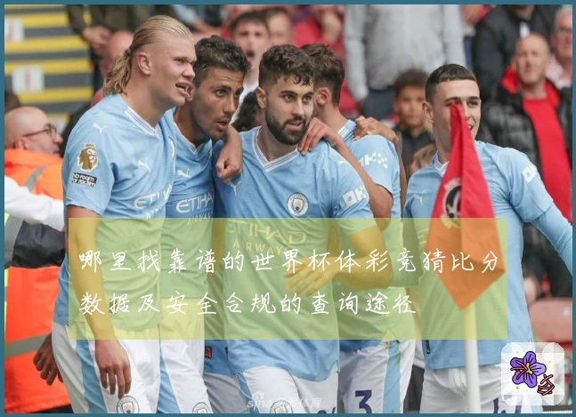 哪里找靠谱的世界杯体彩竞猜比分数据及安全合规的查询途径