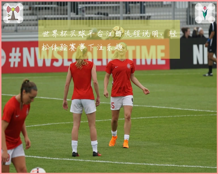 世界杯买球平台注册流程说明，轻松体验赛事下注乐趣