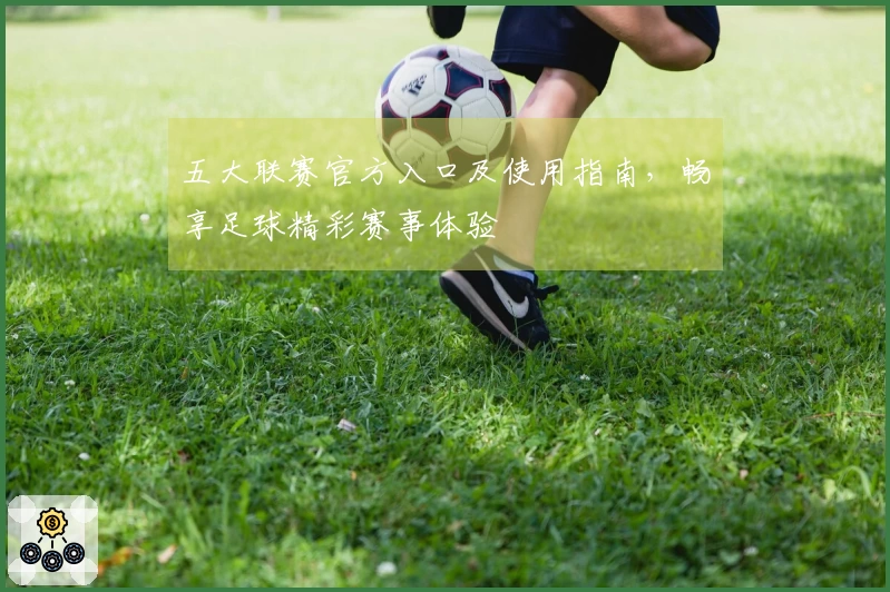 五大联赛官方入口及使用指南，畅享足球精彩赛事体验